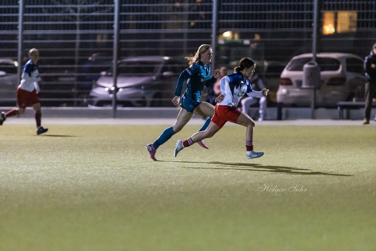 Bild 457 - F SC Alstertal-Langenhorn - Hamburger SV 3 : Ergebnis: 2:2